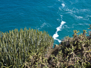 Puerto de la cruz  auf der Insel Teneriffa