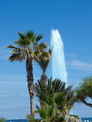 Puerto de la cruz auf Teneriffa