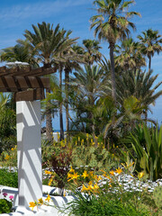 Puerto de la cruz auf Teneriffa