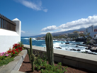 Puerto de la cruz auf Teneriffa