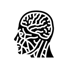 head brain human glyph icon vector. head brain human sign. isolated symbol illustration