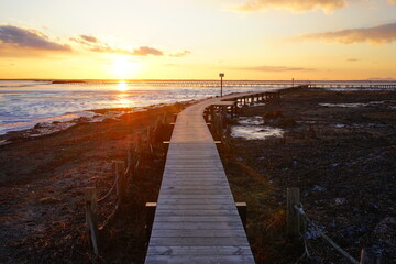 Obraz premium Todowara Walk Path and Frozen Ocean at Notsuke Peninsula in Betsukai, Hokkaido, Japan - 日本 北海道 別海町 野付半島 トドワラ 探勝線歩道 氷海