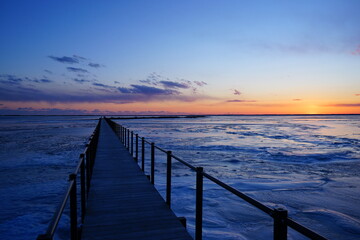 Todowara Walk Path and Frozen Ocean at Notsuke Peninsula in Betsukai, Hokkaido, Japan - 日本 北海道 別海町 野付半島 トドワラ 探勝線歩道 氷海