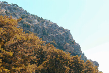 landscape in the mountains and clouds 