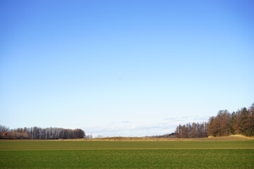 Green Field in Hokkaido, Japan - 日本 北海道 農場 畑
