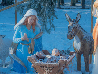 Nativity scene by the Christmas tree. Nativity scene, Adoration of the Magi. Nativity scene with...