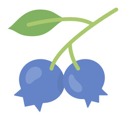 blueberry flat icon