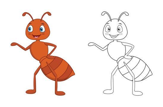 Happy cartoon ant with line art, ant sketch color less page isolated on white background.