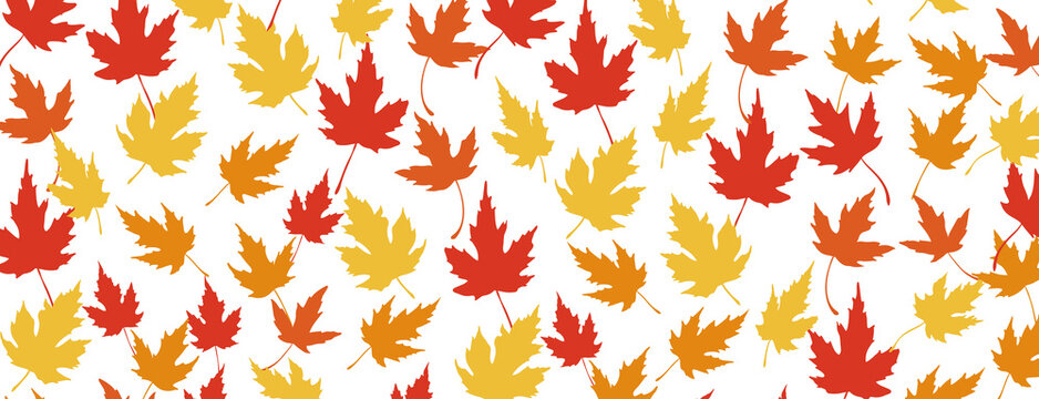 Foglie vettoriali colorate autunnali. Vettoriale decorativo fogliame per pattern banner. sfondo trasparente png
