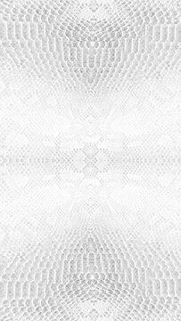 abstract parallax background texture of white snake skin Vertical video