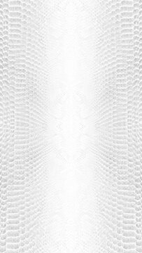 abstract parallax background texture of white snake skin Vertical video