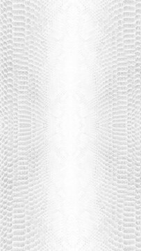 abstract parallax background texture of white snake skin Vertical video