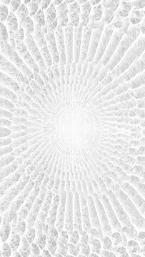 abstract parallax background texture of white snake skin Vertical video