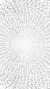 abstract parallax background texture of white snake skin Vertical video