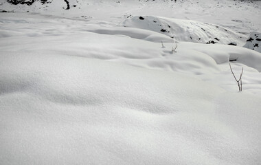 Snow close-up in the mountain