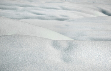 Snow close-up in the mountain