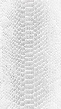 abstract parallax background texture of white snake skin Vertical video