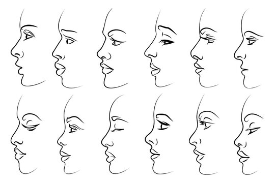 Learn how to draw a face from the side profile  Paintingcreativity