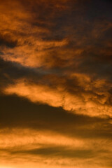 Obraz premium Rose Cloud