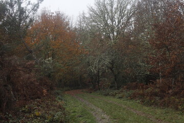 Obraz premium Galicia