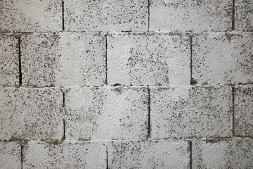 Muro