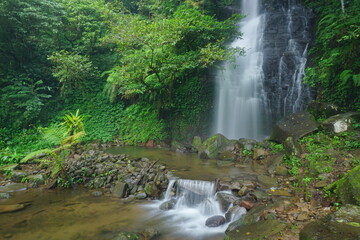 Naklejka na ściany i meble Beautiful waterfalls in the tropical forest. Cipurut waterfalls of Purwakarta west java Indonesia. 