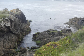 Fototapeta na wymiar Coruña