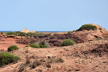 Photo sur Plexiglas Cala Pregonda, île de Minorque, Espagne Le sentier vers Cala Pregonda, à Minorque