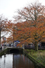 Fototapeta na wymiar autumn in the city of Delft, Holland