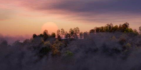 Colorful Trees on top of Mountain Landscape covered in fog. Cloudy Sunset Sky. Nature Background. 3d Rendering Art.