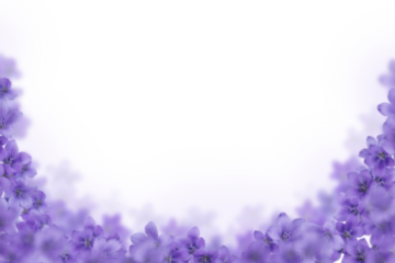 Blue flowers background frame