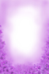 Violet flowers border photo frame background