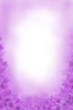 Violet flowers border photo frame background