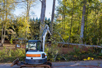 Several trees were uprooted during recent tornado that caused tractor to be brought in clean up trees mess.