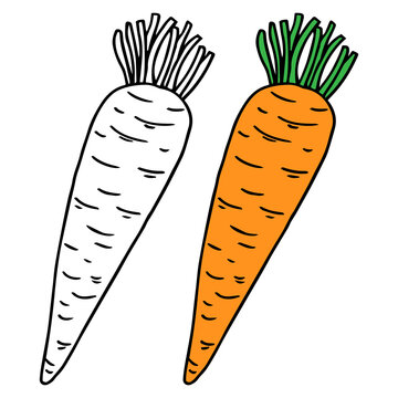 Children's coloring book carrot. Coloring book with cute cartoon vegetable. Vector illustration.