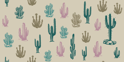 Cactus set hand drawn illustrations, vector