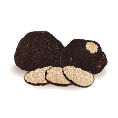 truffles isolated on a white background. Fresh sliced truffle. Delicacy exclusive truffle mushroom. on white background, vector illustration