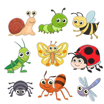 vector illustration of cute insect cartoon collection set
