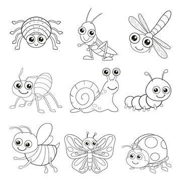 coloring page. cute insect cartoon collection set