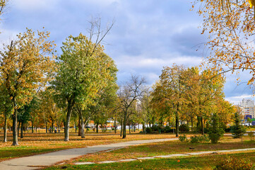 Autumn city public park in sunny day