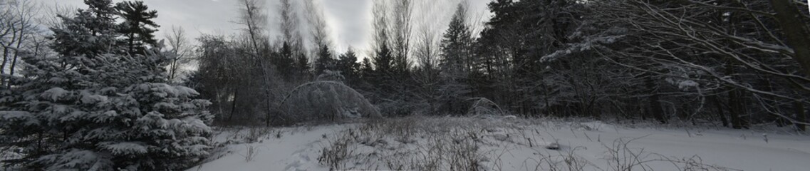 La Plaine 24 Décembre 2022 - Photostacking