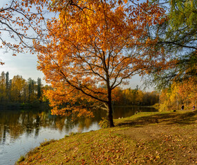 Autumn landscape in the historical park 