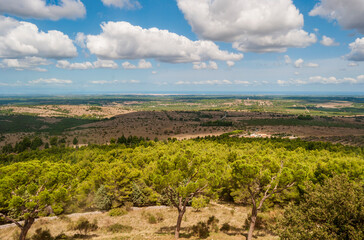 Landscape on Apulian countryside from 