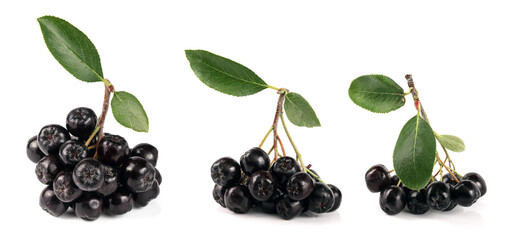 Chokeberry with leaf isolated on white background. Black aronia berries