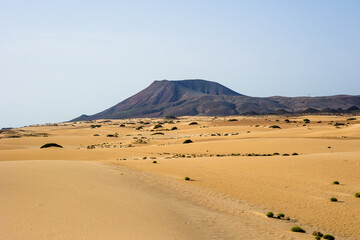 Fototapeta na wymiar Corralejo National Park in Fuerteventura, Canary Islands, Spain