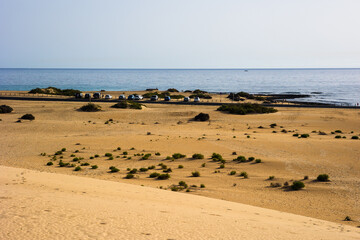 Nature of Corralejo National Park and coastline of the Atlantic Ocean, Fuerteventura, Canary Islands, Spain