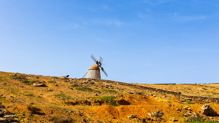 Colorful spanish rural landscape. Old windmill in Villaverde village, Fuerteventura, Canary Islands, Spain