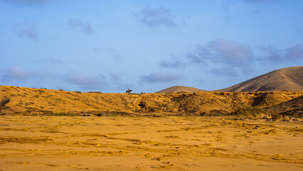 Fototapeta na wymiar Virgin nature of Fuerteventura. Desert landscape of Spanish countryside, Canary Islands, Spain