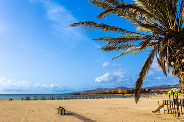 Sunny summer day on the city beach in the resort popular town of Caleta de Fuste, Fuerteventura, Canary Islands Spain