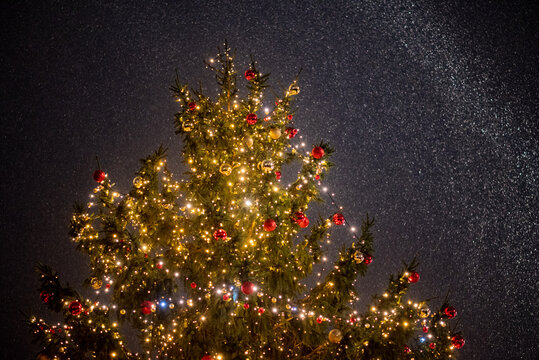 christmas tree background